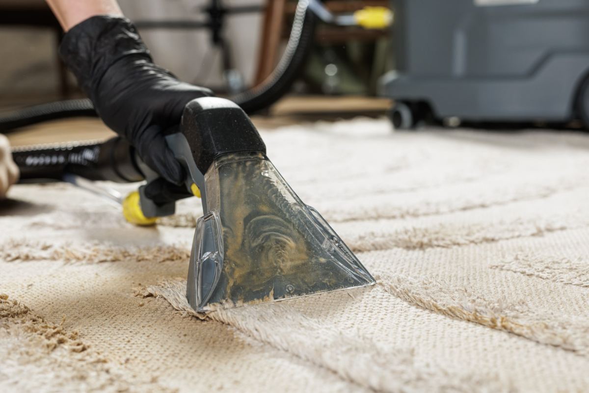 Technician extraction-cleaning a patterned area rug